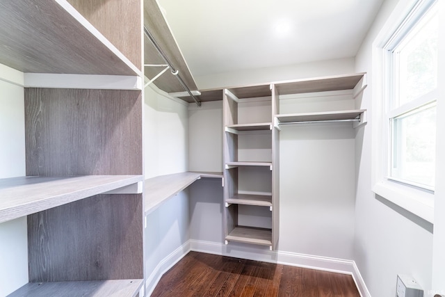 6321 Butt Rd, Fort Wayne, IN 46818 - walk in closet with wood finished floors