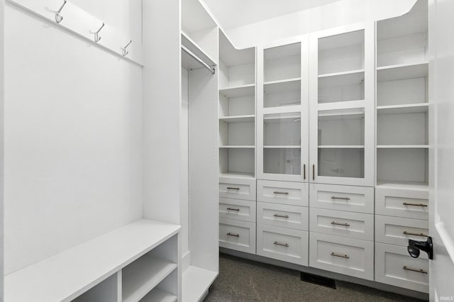 1381 Codorna Cv, Fort Wayne, IN 46804 - spacious closet featuring dark carpet