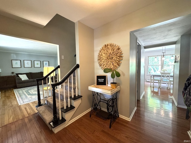 1896 N Michael Dr, Marion, IN 46952 - stairs with hardwood / wood-style flooring and baseboards
