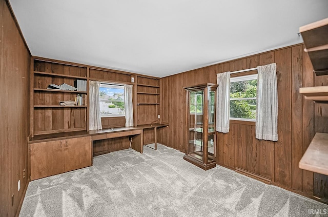 3111 N Eastlake Dr, Elkhart, IN 46514 - unfurnished office with wooden walls, baseboard heating, and carpet