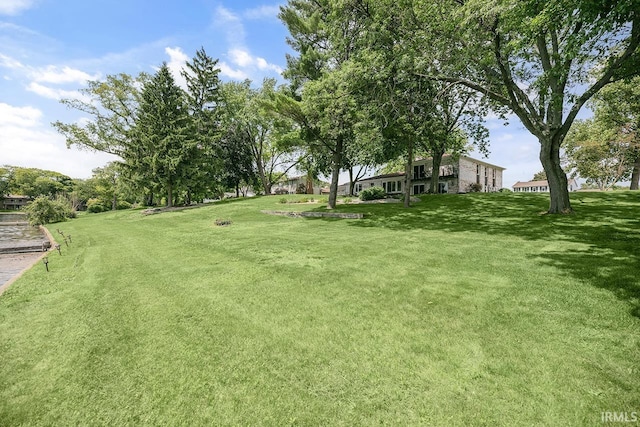 3111 N Eastlake Dr, Elkhart, IN 46514 - view of green lawn