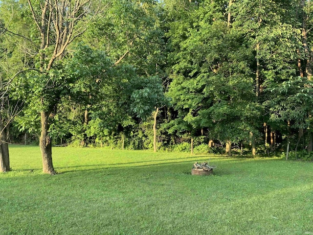 6243 S 700 W, West Point, IN 47992 - view of green lawn