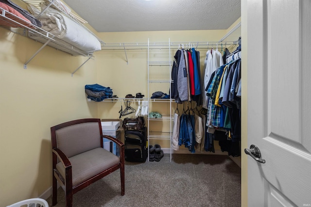 378 Buchanan St, West Lafayette, IN 47906 - spacious closet with carpet flooring