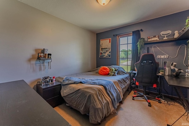 12 Chrysler Ave, Wabash, IN 46992 - bedroom with carpet floors