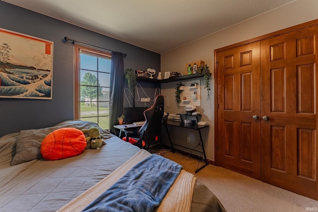 12 Chrysler Ave, Wabash, IN 46992 - view of carpeted bedroom