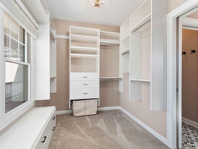 13092 Hallux Cv, Fort Wayne, IN 46845 - walk in closet featuring light carpet