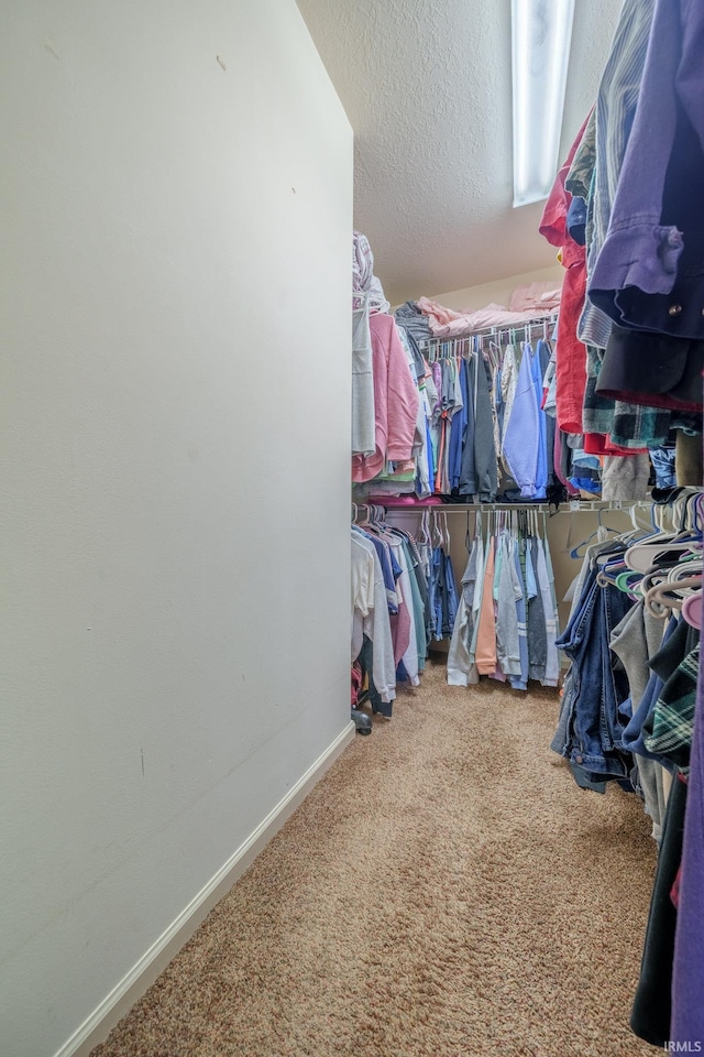 1510 W Crane Pond Dr, Marion, IN 46952 - spacious closet featuring carpet floors