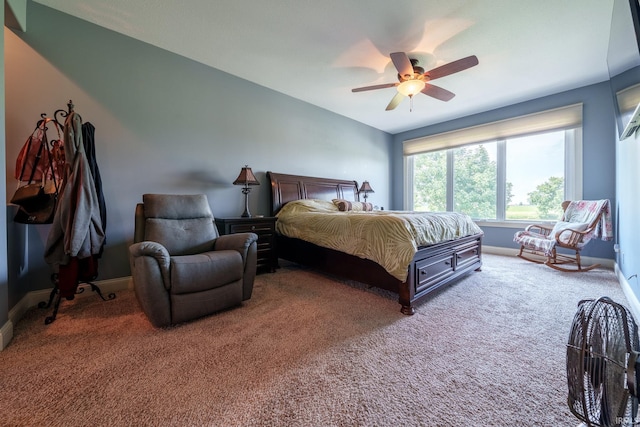 2220 Meadowbrook Dr, Marion, IN 46952 - bedroom with carpet floors and a ceiling fan