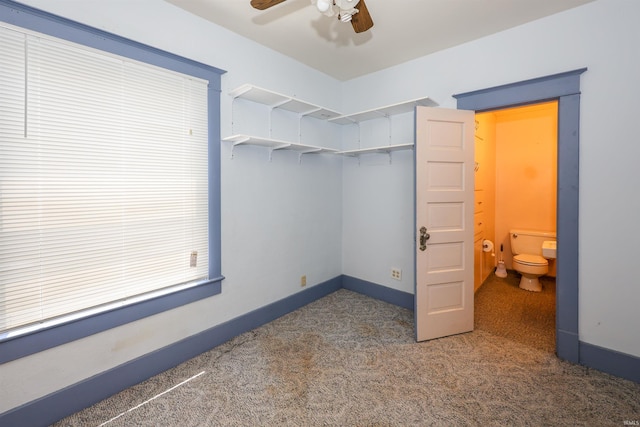 617 S Indiana Ave, Auburn, IN 46706 - walk in closet with carpet flooring and ceiling fan