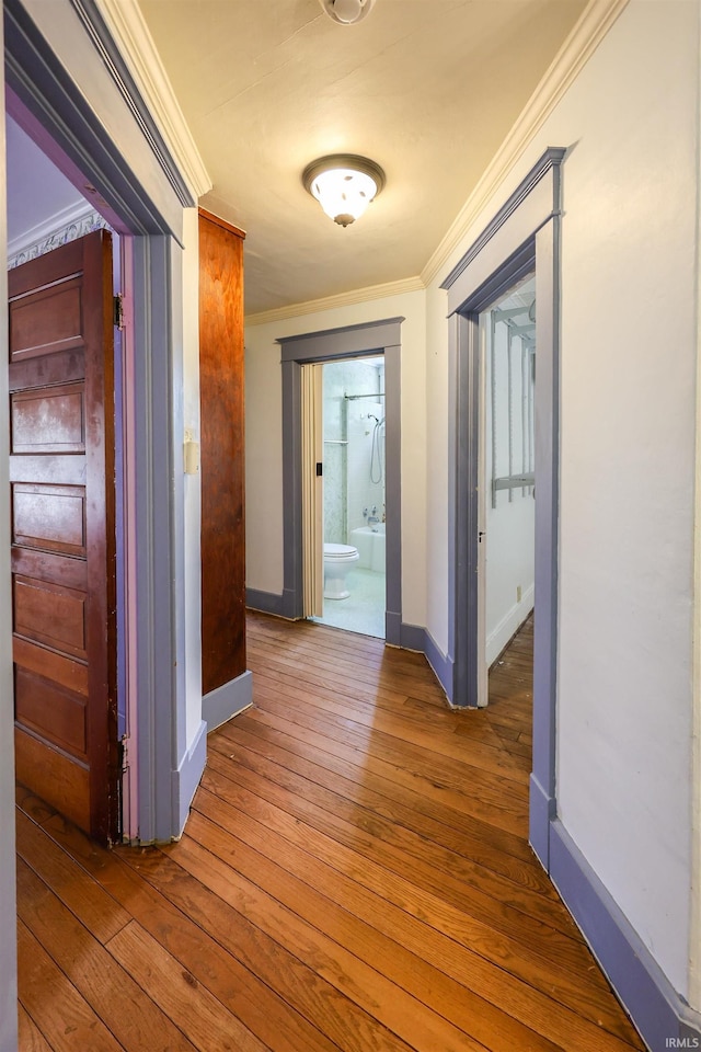 617 S Indiana Ave, Auburn, IN 46706 - hallway with hardwood / wood-style flooring and ornamental molding