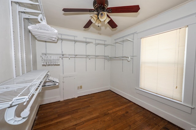 617 S Indiana Ave, Auburn, IN 46706 - walk in closet with wood-type flooring and ceiling fan