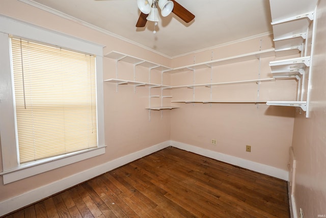 617 S Indiana Ave, Auburn, IN 46706 - walk in closet with ceiling fan and hardwood / wood-style flooring