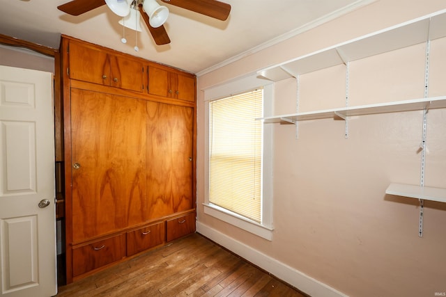 617 S Indiana Ave, Auburn, IN 46706 - view of closet