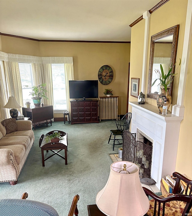 960 A St NE, Linton, IN 47441 - living room with radiator heating unit, carpet floors, ornamental molding, and a fireplace with raised hearth