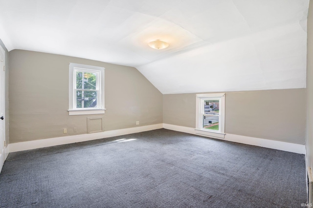 1331 Summit St, New Haven, IN 46774 - bonus room featuring lofted ceiling and carpet flooring
