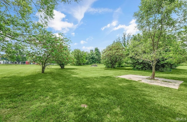 58155 Beehler Rd, Osceola, IN 46561 - view of grassy yard