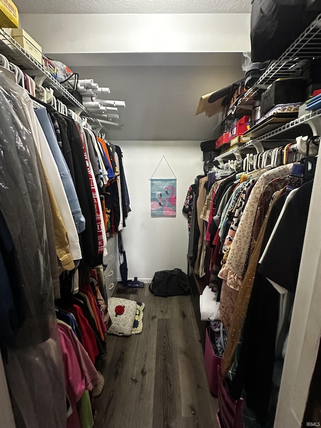619 Briarfield Dr, Fort Wayne, IN 46825 - spacious closet featuring wood finished floors