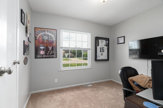 171 Vicksburg Ln, West Lafayette, IN 47906 - home office with carpet flooring and baseboards
