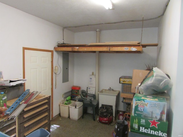 4109 E Woodland Ct, Leesburg, IN 46538 - storage featuring electric panel