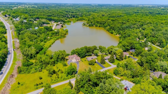 425 E Val Ln, Marion, IN 46952 - drone / aerial view of a large body of water and a forest
