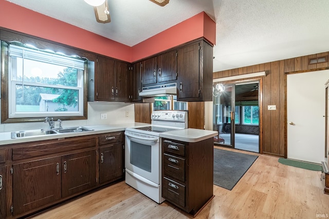 9246 Fritz Rd, Fort Wayne, IN 46818 - kitchen featuring electric range, under cabinet range hood, light countertops, dark brown cabinetry, and light wood-style flooring