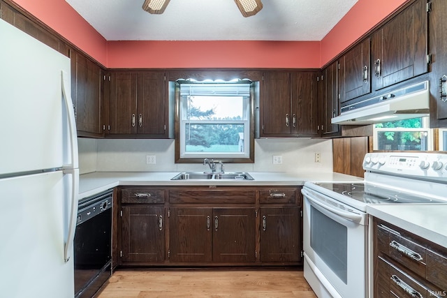 9246 Fritz Rd, Fort Wayne, IN 46818 - kitchen with white appliances, under cabinet range hood, dark brown cabinets, and light countertops