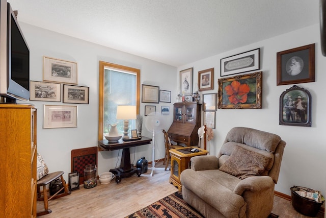 3139 E Colony Ave, Columbia City, IN 46725 - living area featuring wood finished floors and baseboards