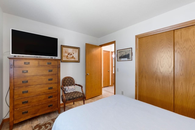 3139 E Colony Ave, Columbia City, IN 46725 - bedroom featuring light wood-style floors and a closet