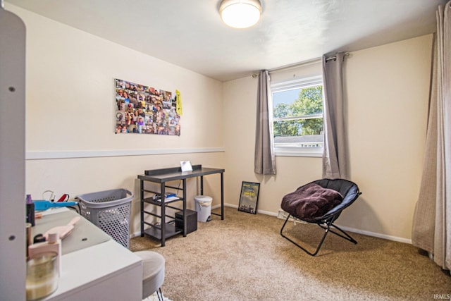 3301 Cabot Dr, South Bend, IN 46635 - miscellaneous room with carpet flooring and baseboards