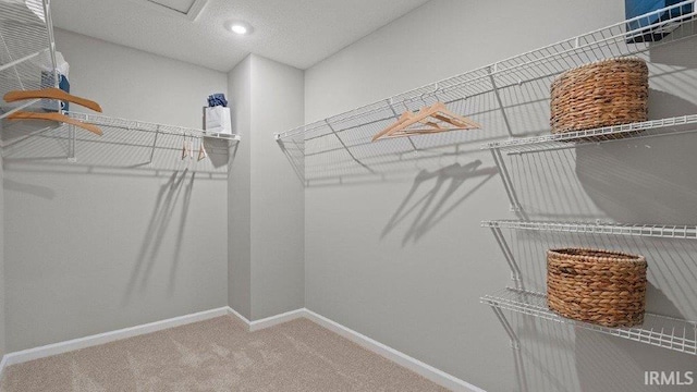 1185 Catesby Ct, Fort Wayne, IN 46818 - walk in closet featuring carpet flooring