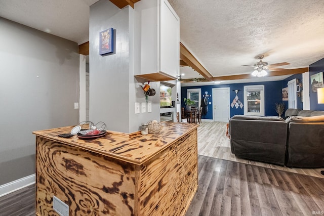 919 S 18th St, Lafayette, IN 47905 - living room with a textured ceiling, a ceiling fan, and dark wood-type flooring