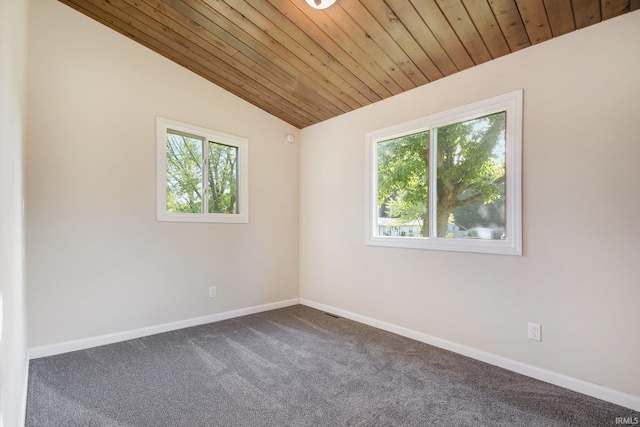 56435 Eastlea Dr, South Bend, IN 46619 - empty room featuring healthy amount of natural light, lofted ceiling, dark carpet, and wooden ceiling