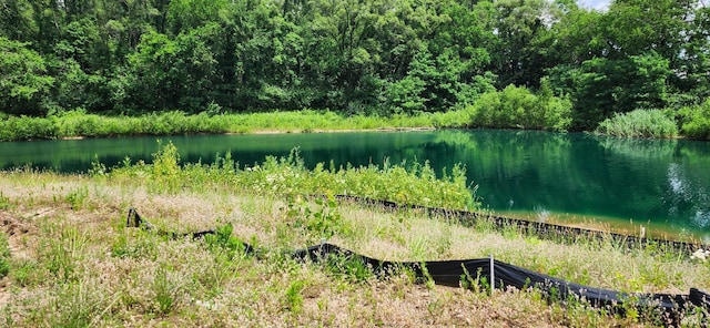 2554 Timberstone Dr E, Elkhart, IN 46516 - water view with a heavily wooded area