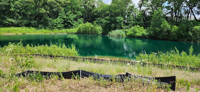 2554 Timberstone Dr E, Elkhart, IN 46516 - water view