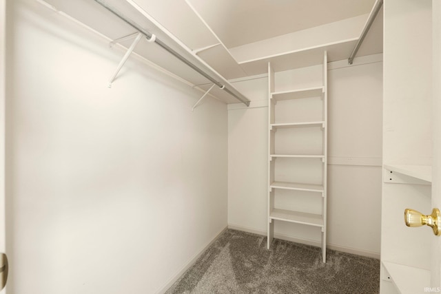 1408 Duesenberg Dr, Auburn, IN 46706 - walk in closet with carpet flooring