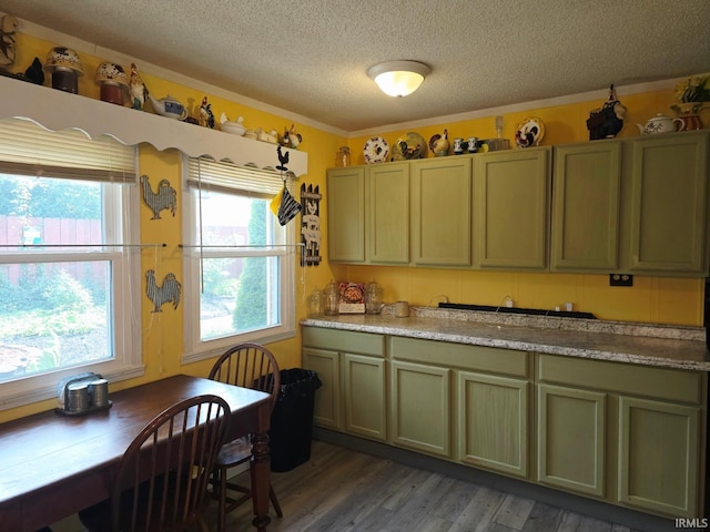 1723 W Timberview Dr, Marion, IN 46952 - kitchen featuring a textured ceiling, wood finished floors, light countertops, and crown molding
