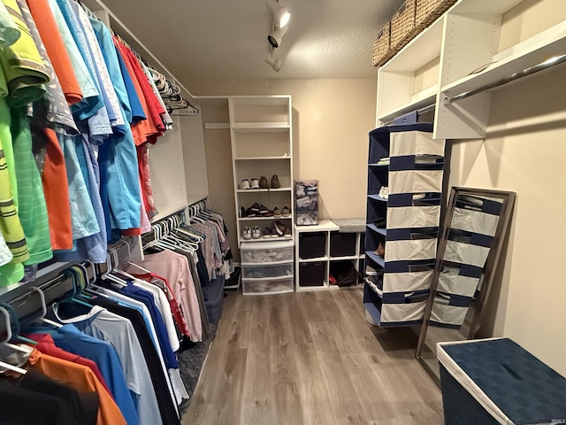 9825 Tamar Trl, Fort Wayne, IN 46825 - walk in closet with wood finished floors