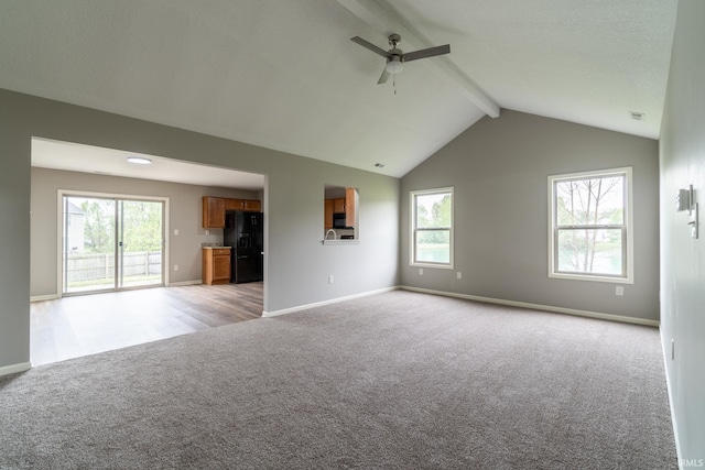 3827 Winter Raven Trl, Fort Wayne, IN 46818 - unfurnished living room featuring light carpet, a ceiling fan, and plenty of natural light
