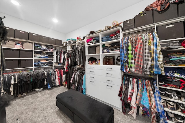 1229 Corby Blvd, South Bend, IN 46617 - walk in closet with carpet