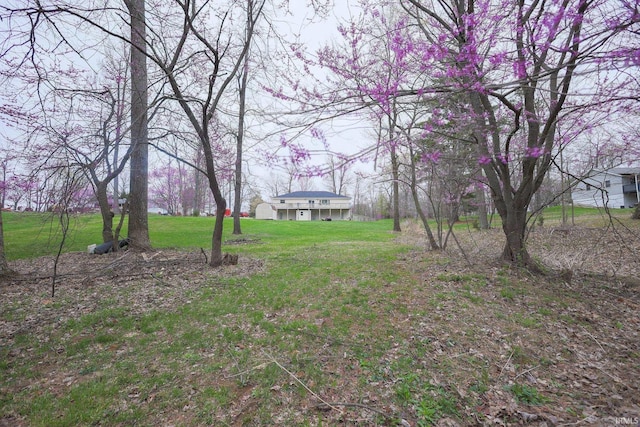 348 Arthur Rd, Springville, IN 47462 - view of green lawn