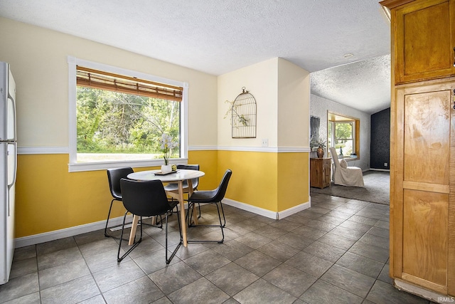 19545 Hildebrand St, South Bend, IN 46614 - dining space with a textured ceiling and plenty of natural light