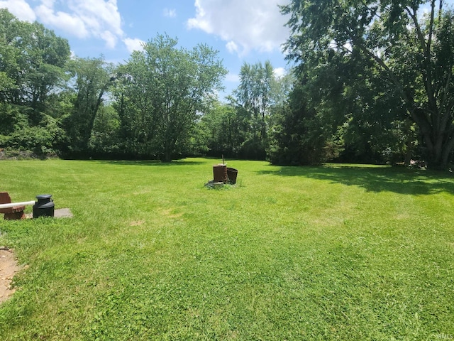 803 Stanley St, Logansport, IN 46947 - view of green lawn