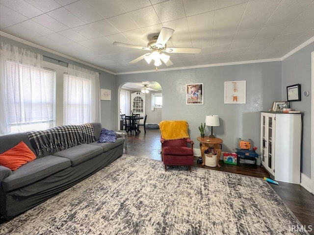 706 E Hoffer St, Kokomo, IN 46902 - living room featuring ornamental molding, ceiling fan, arched walkways, and wood finished floors
