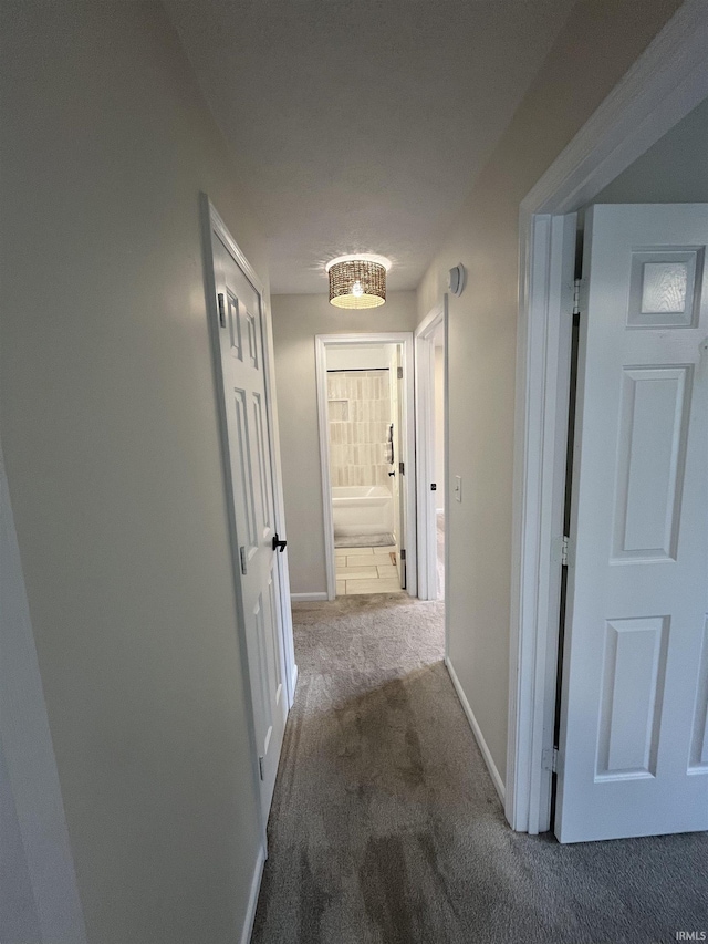732 Conner Dr, Mishawaka, IN 46544 - hallway with carpet and baseboards