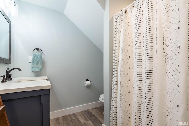 3523 S Tulip Ave, Bloomington, IN 47403 - bathroom featuring vanity, wood finished floors, lofted ceiling, and a shower with shower curtain