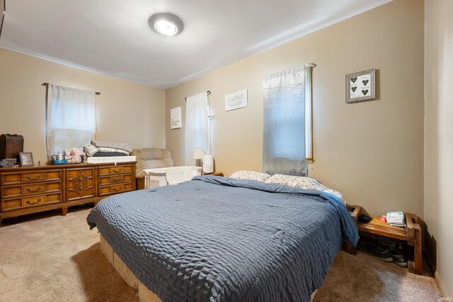 315 Mill St, Geneva, IN 46740 - bedroom with carpet flooring