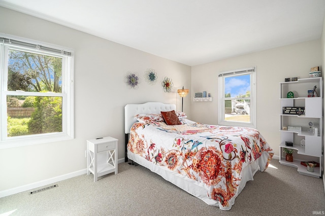 54410 Pleasant Valley Dr, Osceola, IN 46561 - bedroom featuring multiple windows and carpet flooring