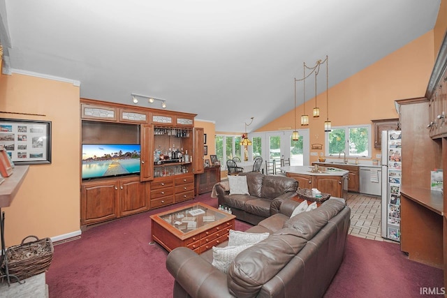 1760 Grant St, Elkhart, IN 46514 - living room with french doors, dark carpet, a high ceiling, and track lighting