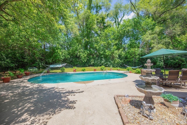 1760 Grant St, Elkhart, IN 46514 - swimming pool with a patio and view of scattered trees