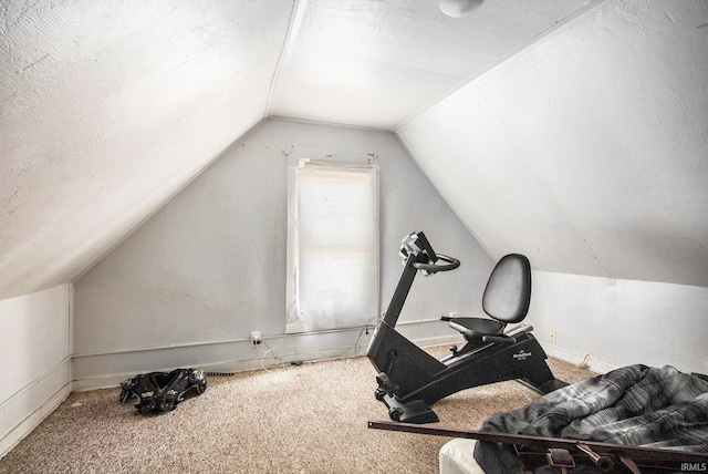 517 S Kaley St, South Bend, IN 46619 - exercise room with lofted ceiling and carpet flooring